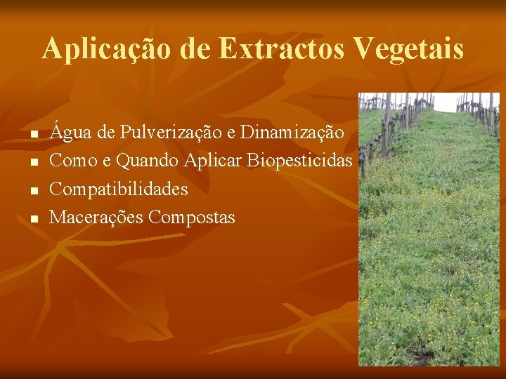 Aplicação de Extractos Vegetais n n Água de Pulverização e Dinamização Como e Quando