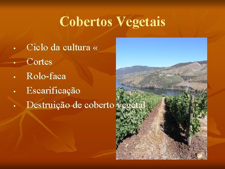 Cobertos Vegetais • • • Ciclo da cultura « Cortes Rolo-faca Escarificação Destruição de