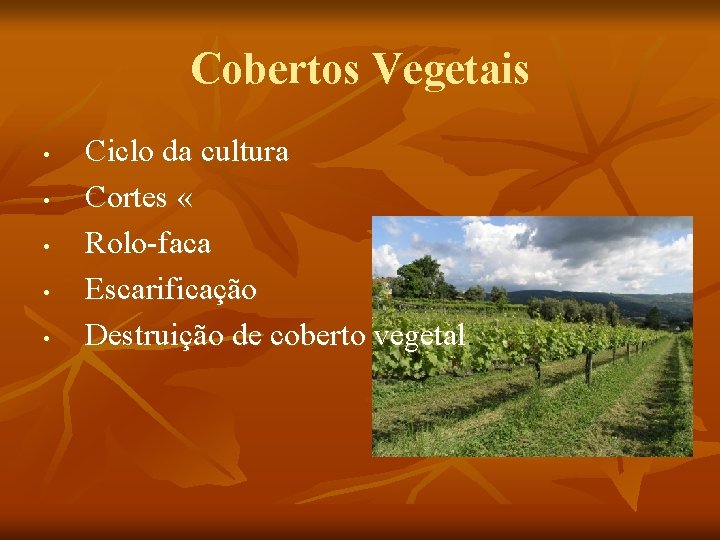 Cobertos Vegetais • • • Ciclo da cultura Cortes « Rolo-faca Escarificação Destruição de