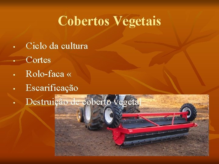 Cobertos Vegetais • • • Ciclo da cultura Cortes Rolo-faca « Escarificação Destruição de