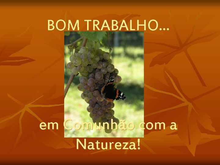 BOM TRABALHO. . . em Comunhão com a Natureza! 