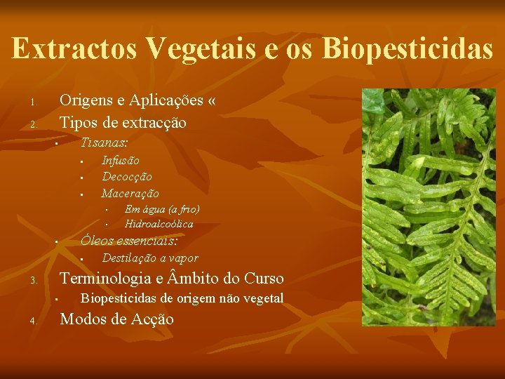 Extractos Vegetais e os Biopesticidas Origens e Aplicações « Tipos de extracção 1. 2.