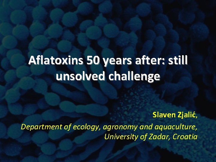 Aflatoxins 50 years after: still unsolved challenge Slaven Zjalić, Department of ecology, agronomy and Aflatoxins 50 years after: still unsolved challenge Slaven Zjalić, Department of ecology, agronomy and