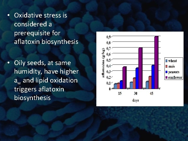 • Oxidative stress is considered a prerequisite for aflatoxin biosynthesis • Oily seeds, • Oxidative stress is considered a prerequisite for aflatoxin biosynthesis • Oily seeds,