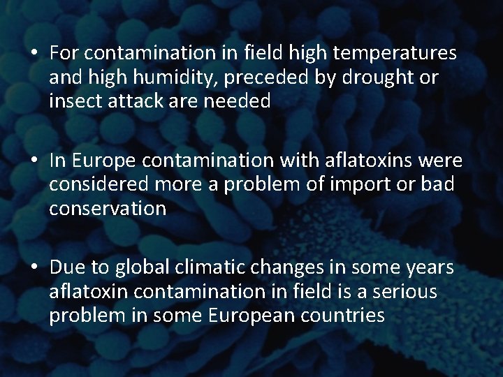 • For contamination in field high temperatures and high humidity, preceded by drought • For contamination in field high temperatures and high humidity, preceded by drought