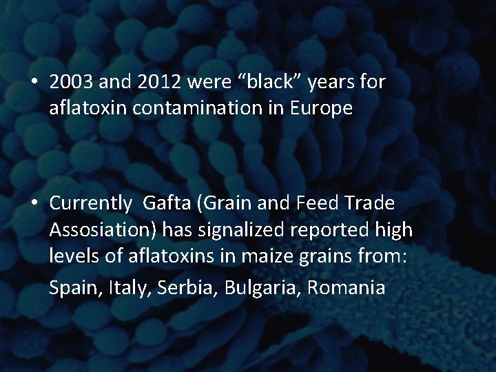 • 2003 and 2012 were “black” years for aflatoxin contamination in Europe • • 2003 and 2012 were “black” years for aflatoxin contamination in Europe •