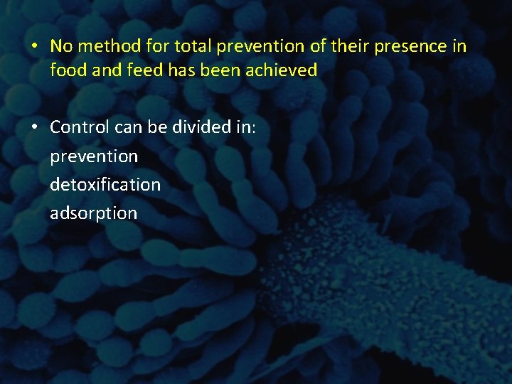 • No method for total prevention of their presence in food and feed • No method for total prevention of their presence in food and feed