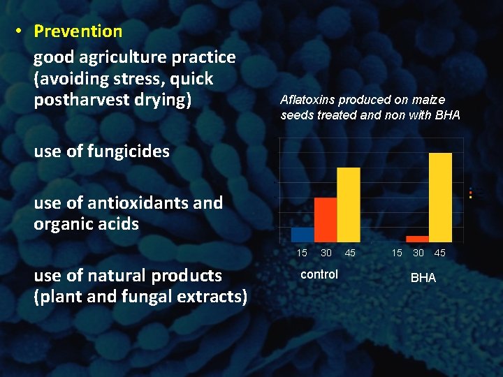 • Prevention good agriculture practice (avoiding stress, quick postharvest drying) Aflatoxins produced on • Prevention good agriculture practice (avoiding stress, quick postharvest drying) Aflatoxins produced on