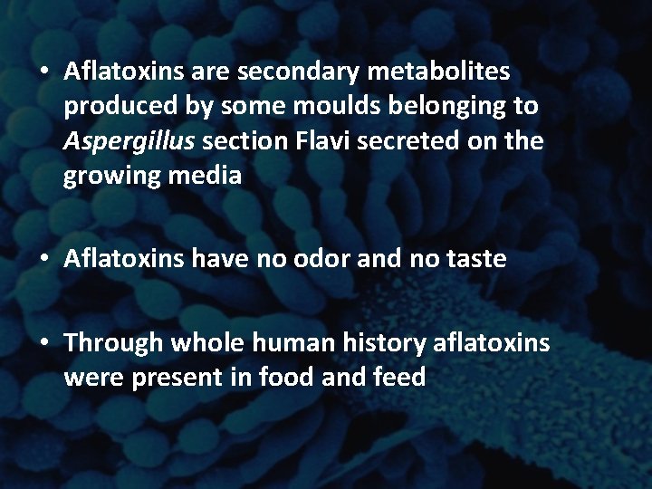 • Aflatoxins are secondary metabolites produced by some moulds belonging to Aspergillus section • Aflatoxins are secondary metabolites produced by some moulds belonging to Aspergillus section