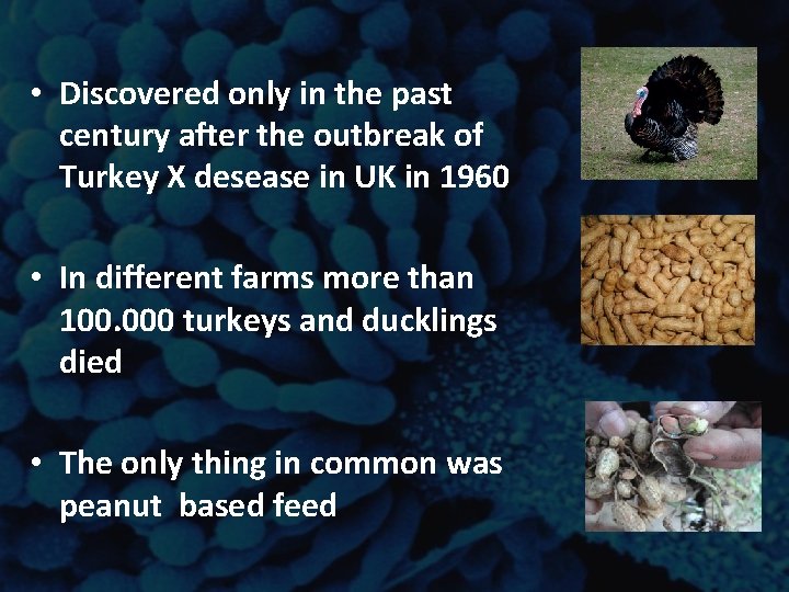 • Discovered only in the past century after the outbreak of Turkey X • Discovered only in the past century after the outbreak of Turkey X