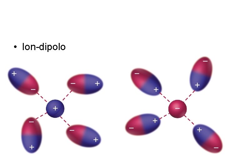 • Ion-dipolo 
