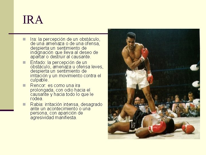 IRA Ira: la percepción de un obstáculo, de una amenaza o de una ofensa,