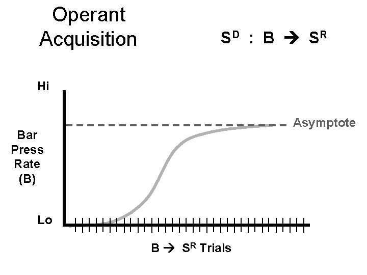 Operant Acquisition SD : B S R Hi Asymptote Bar Press Rate (B) Lo