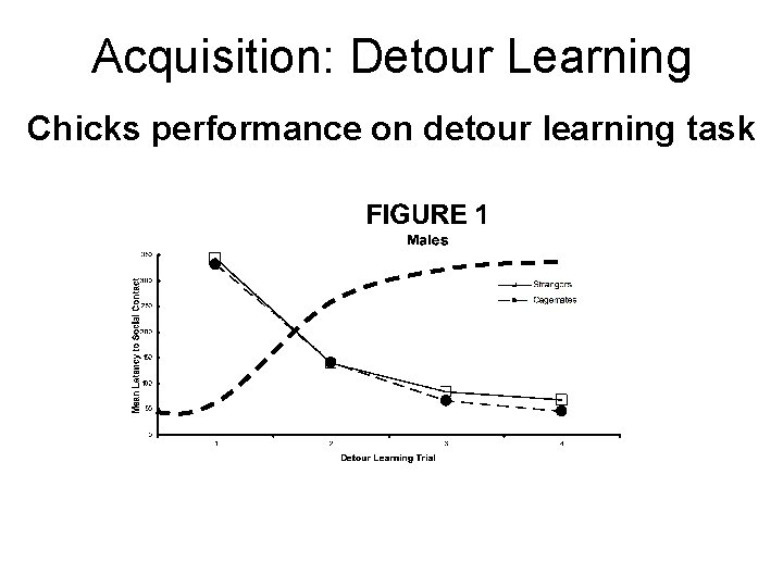 Acquisition: Detour Learning Chicks performance on detour learning task 