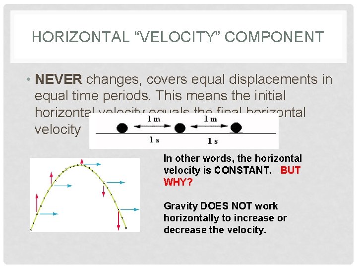 HORIZONTAL “VELOCITY” COMPONENT • NEVER changes, covers equal displacements in equal time periods. This