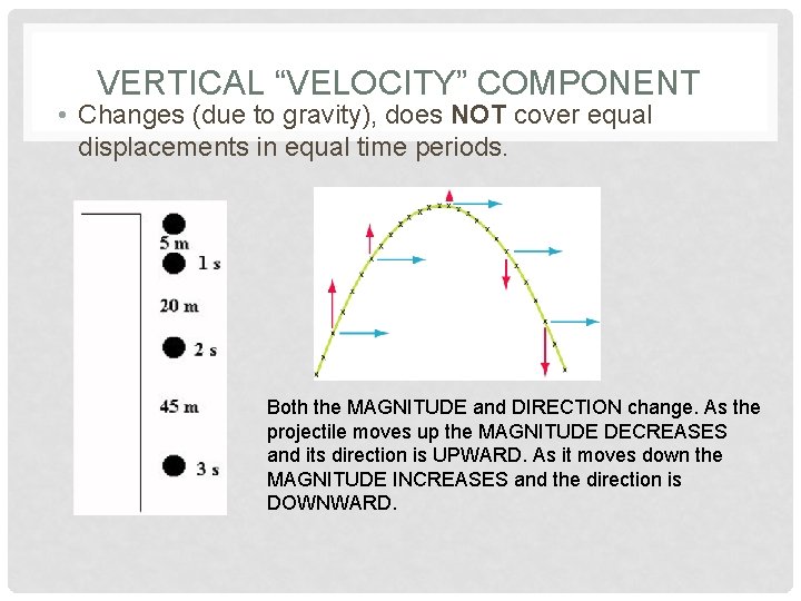 VERTICAL “VELOCITY” COMPONENT • Changes (due to gravity), does NOT cover equal displacements in