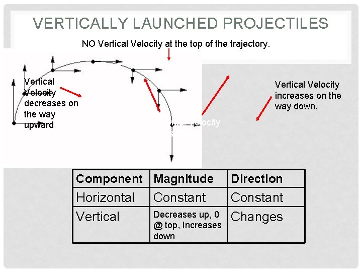 VERTICALLY LAUNCHED PROJECTILES NO Vertical Velocity at the top of the trajectory. Vertical Velocity