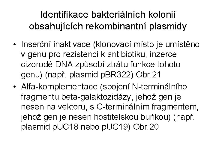 Identifikace bakteriálních kolonií obsahujících rekombinantní plasmidy • Inserční inaktivace (klonovací místo je umístěno v