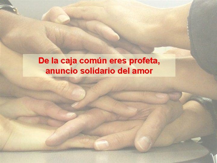 De la caja común eres profeta, anuncio solidario del amor 