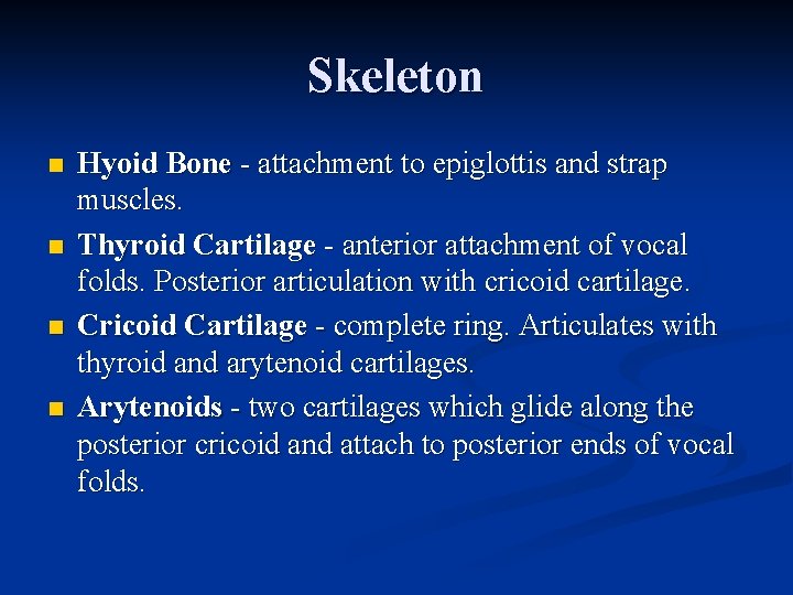 Skeleton n n Hyoid Bone - attachment to epiglottis and strap muscles. Thyroid Cartilage