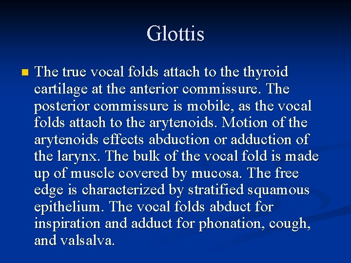 Glottis n The true vocal folds attach to the thyroid cartilage at the anterior