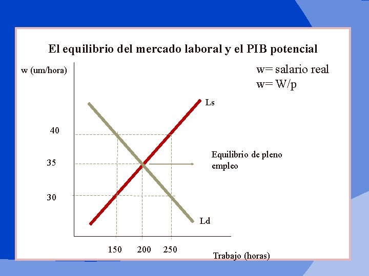 El equilibrio del mercado laboral y el PIB potencial w= salario real w= W/p