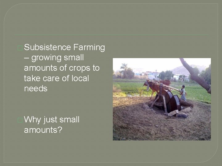 � Subsistence Farming – growing small amounts of crops to take care of local