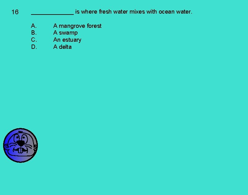 16 _______ is where fresh water mixes with ocean water. A. B. C. D.
