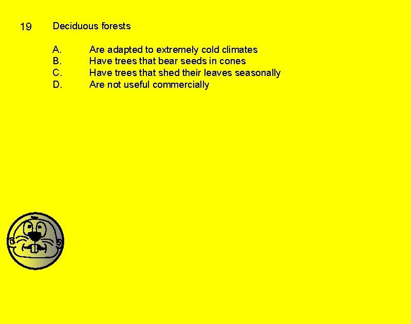 19 Deciduous forests A. B. C. D. Are adapted to extremely cold climates Have