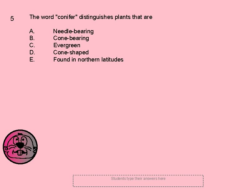 5 The word "conifer" distinguishes plants that are A. B. C. D. E. Needle-bearing