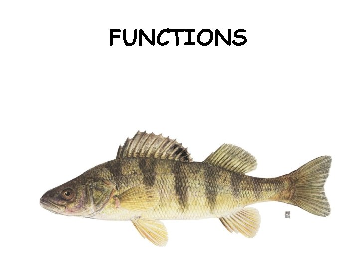 FUNCTIONS 