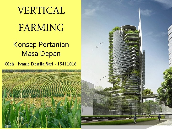 VERTICAL FARMING Konsep Pertanian Masa Depan Oleh : Ivanie Destila Sari - 15411016 