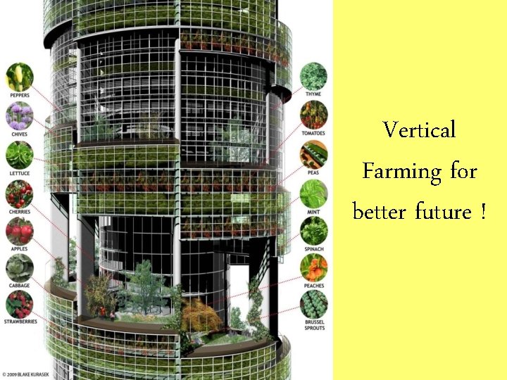 Vertical Farming for better future ! 