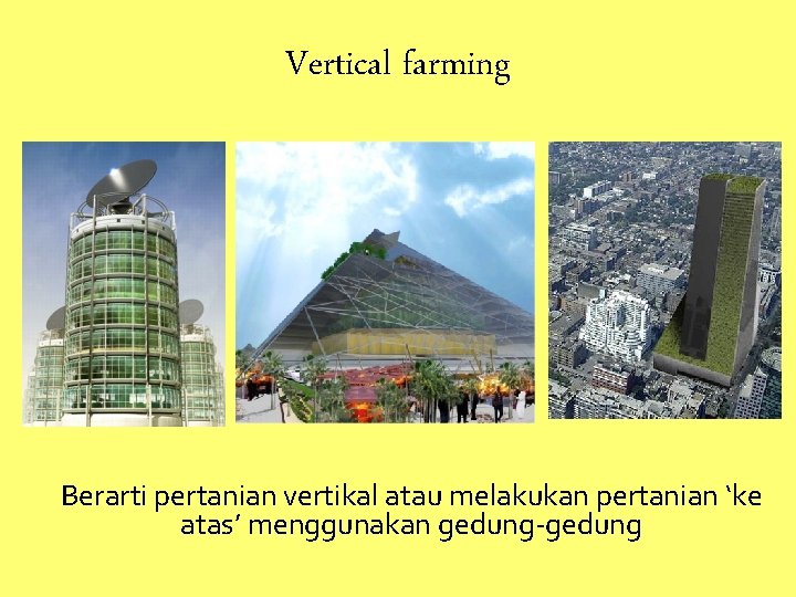 Vertical farming Berarti pertanian vertikal atau melakukan pertanian ‘ke atas’ menggunakan gedung-gedung 
