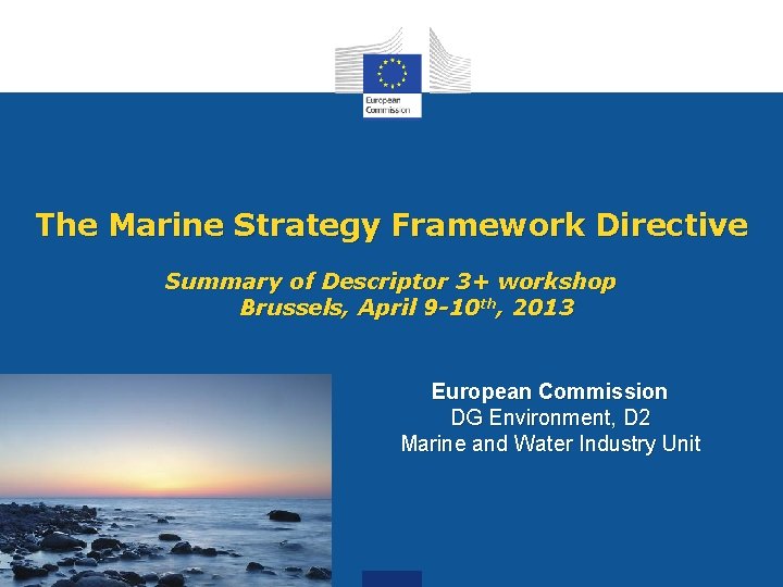 The Marine Strategy Framework Directive Summary of Descriptor 3+ workshop Brussels, April 9 -10
