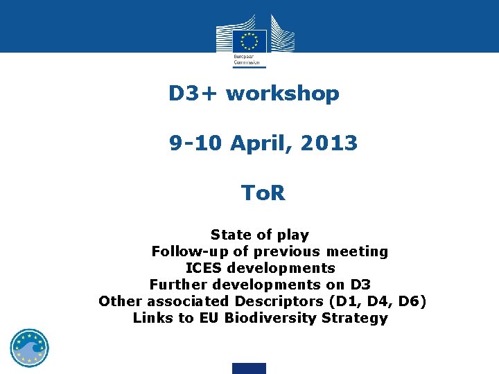 D 3+ workshop 9 -10 April, 2013 To. R State of play Follow-up of