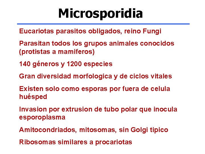 Microsporidia Eucariotas parasitos obligados, reino Fungi Parasitan todos los grupos animales conocidos (protistas a