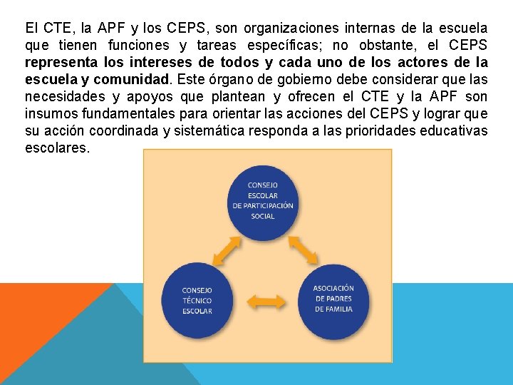 El CTE, la APF y los CEPS, son organizaciones internas de la escuela que