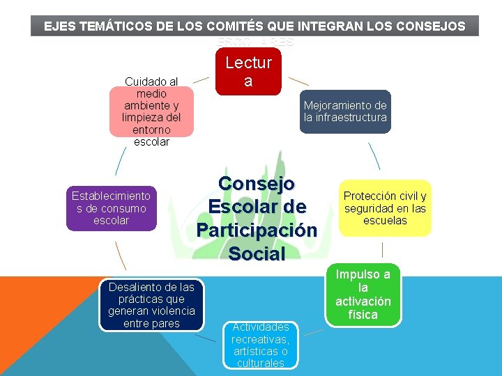 EJES TEMÁTICOS DE LOS COMITÉS QUE INTEGRAN LOS CONSEJOS ESCOLARES Lectur a Cuidado al