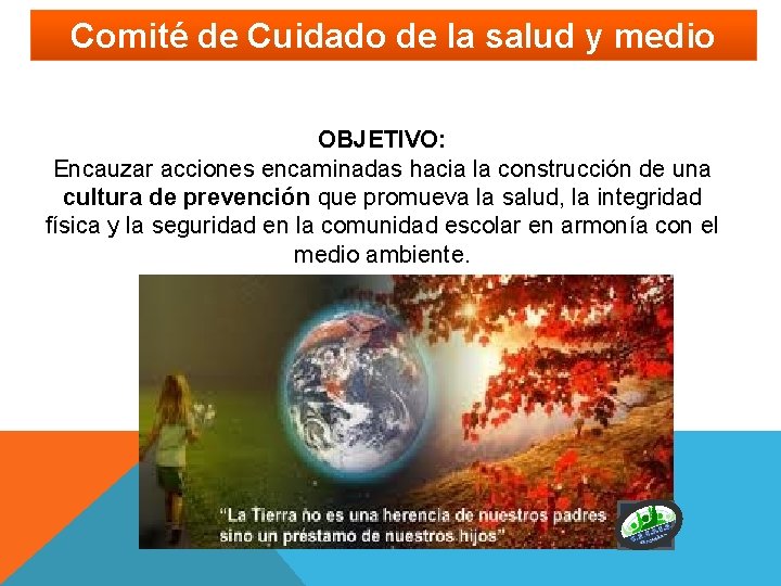 Comité de Cuidado de la salud y medio ambiente OBJETIVO: Encauzar acciones encaminadas hacia