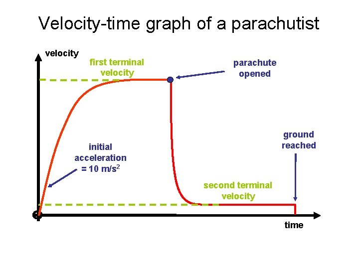 Velocity-time graph of a parachutist velocity first terminal velocity parachute opened ground reached initial