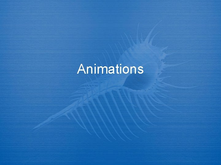 Animations 