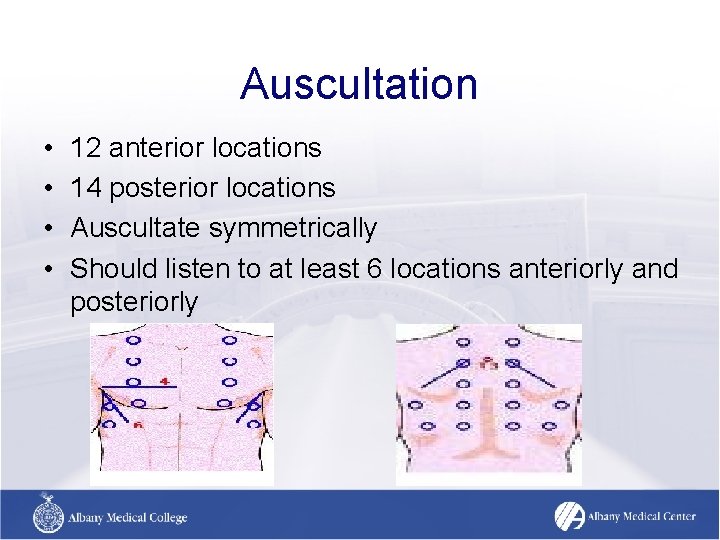 Auscultation • • 12 anterior locations 14 posterior locations Auscultate symmetrically Should listen to Auscultation • • 12 anterior locations 14 posterior locations Auscultate symmetrically Should listen to