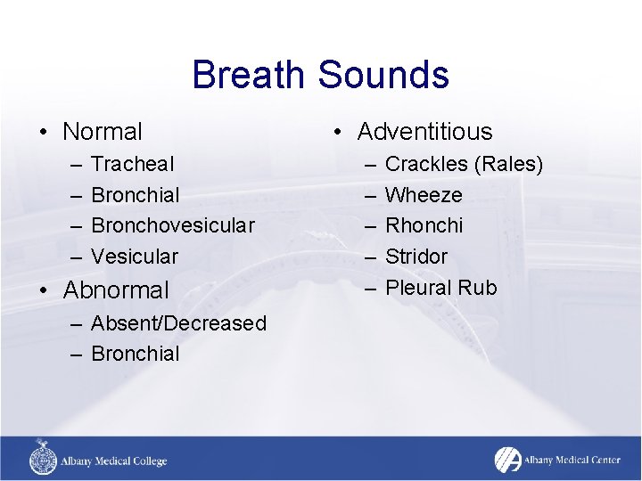 Breath Sounds • Normal – – Tracheal Bronchial Bronchovesicular Vesicular • Abnormal – Absent/Decreased Breath Sounds • Normal – – Tracheal Bronchial Bronchovesicular Vesicular • Abnormal – Absent/Decreased
