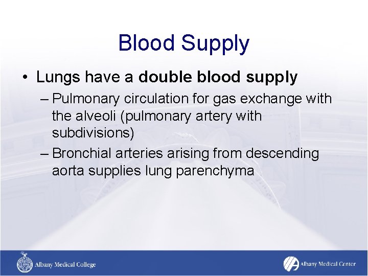 Blood Supply • Lungs have a double blood supply – Pulmonary circulation for gas Blood Supply • Lungs have a double blood supply – Pulmonary circulation for gas