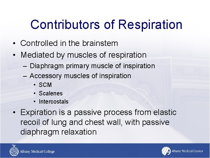 Contributors of Respiration • Controlled in the brainstem • Mediated by muscles of respiration Contributors of Respiration • Controlled in the brainstem • Mediated by muscles of respiration