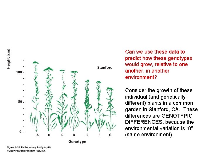 Can we use these data to predict how these genotypes would grow, relative to