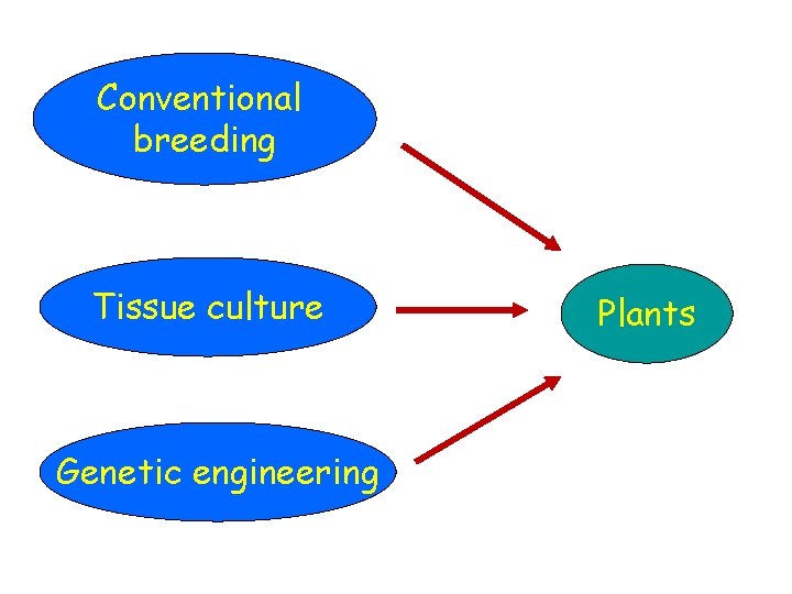 Conventional breeding Tissue culture Genetic engineering Plants Conventional breeding Tissue culture Genetic engineering Plants