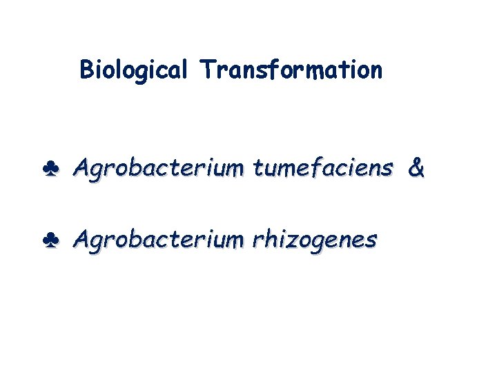 Biological Transformation ♣ Agrobacterium tumefaciens & ♣ Agrobacterium rhizogenes Biological Transformation ♣ Agrobacterium tumefaciens & ♣ Agrobacterium rhizogenes