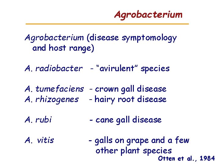 Agrobacterium (disease symptomology and host range) A. radiobacter - “avirulent” species A. tumefaciens - Agrobacterium (disease symptomology and host range) A. radiobacter - “avirulent” species A. tumefaciens -